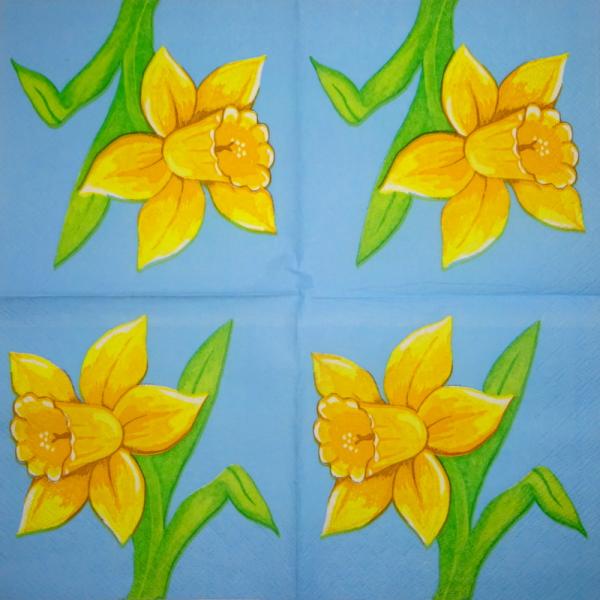 184 Narzissen - 3 lagig -